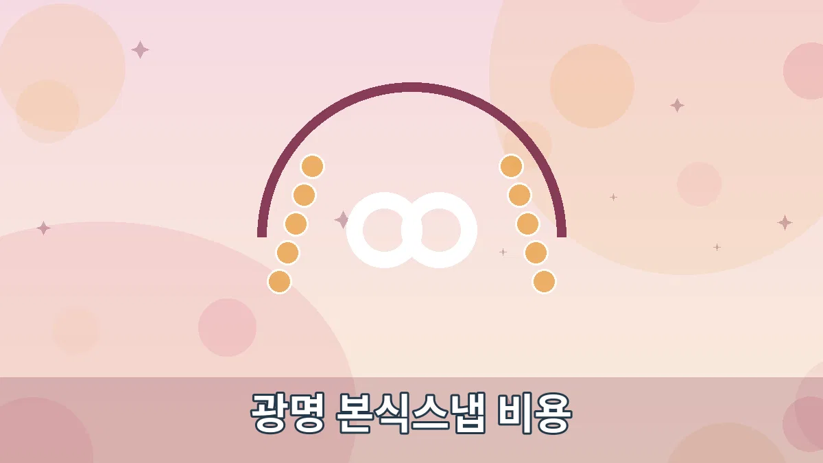 광명 본식스냅 비용 안내 이미지 1